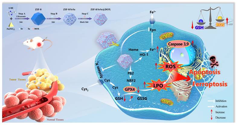 Theranostics Image