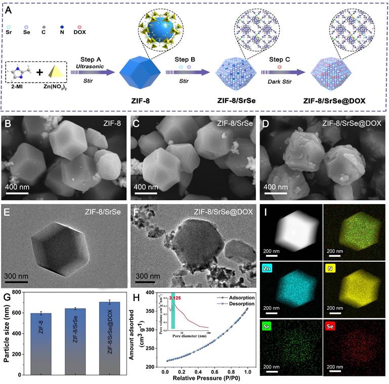 Theranostics Image