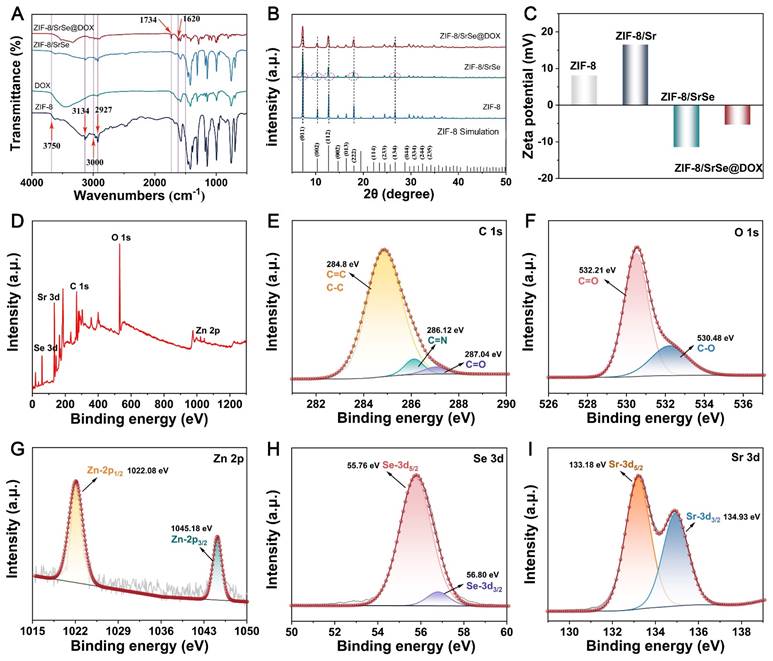 Theranostics Image