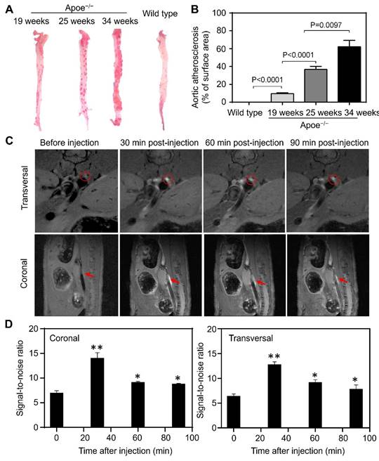 Theranostics Image