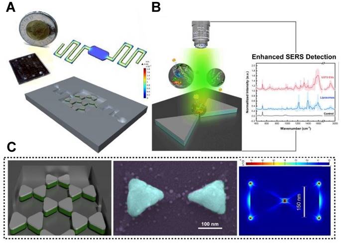 Theranostics Image