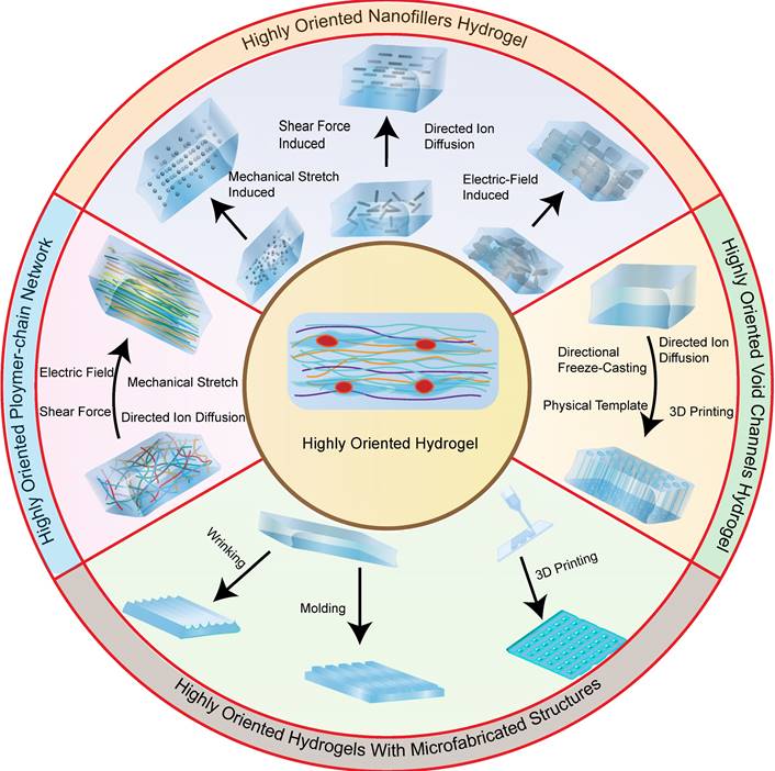 Theranostics Image