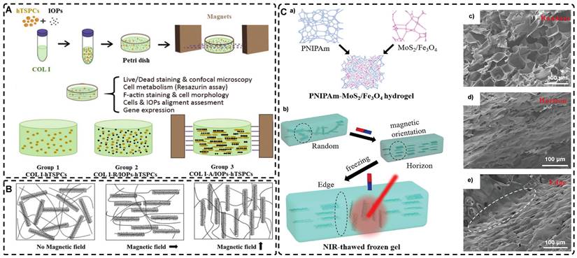 Theranostics Image