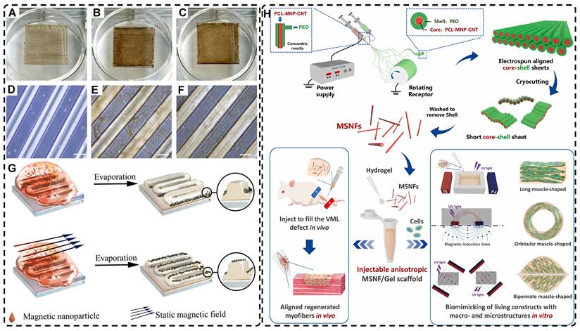 Theranostics Image