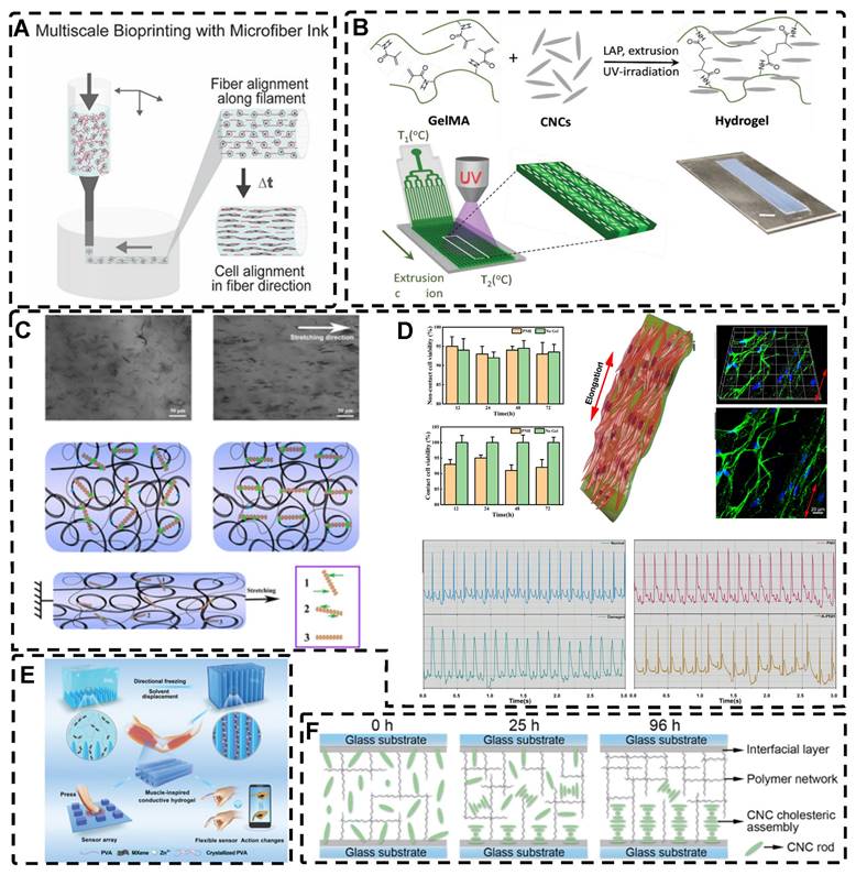 Theranostics Image