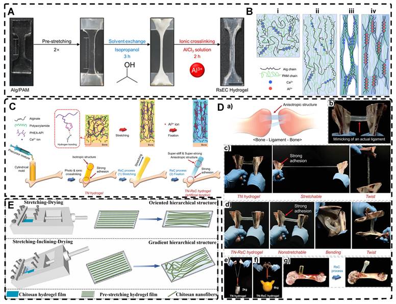 Theranostics Image