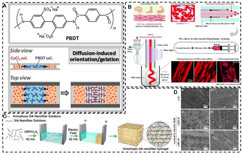 Theranostics Image