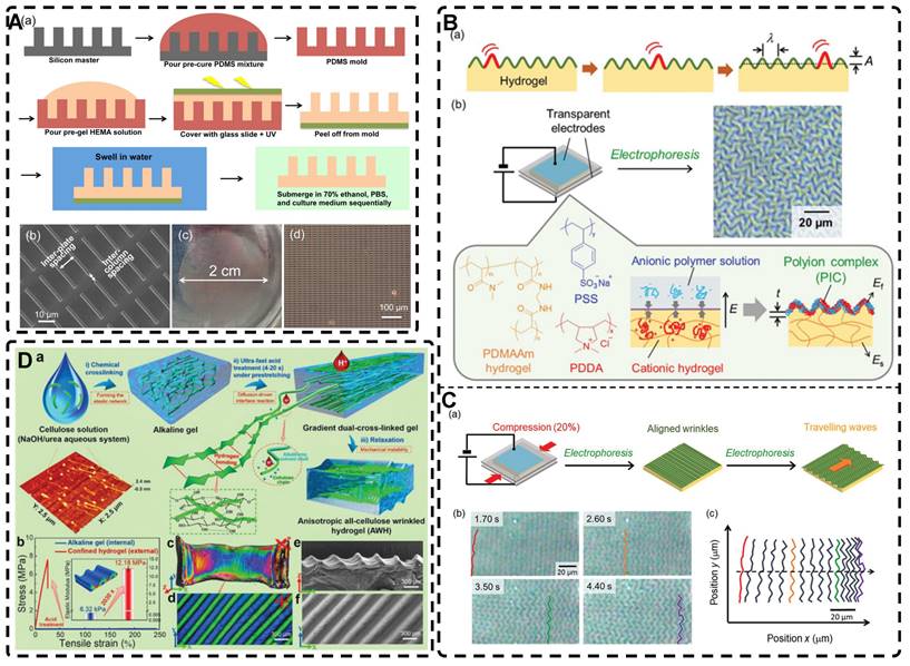 Theranostics Image