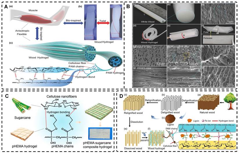 Theranostics Image