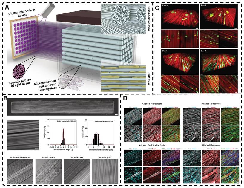 Theranostics Image