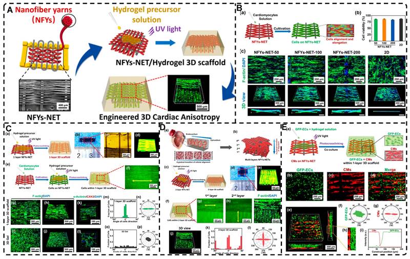 Theranostics Image