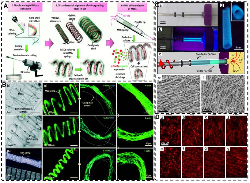 Theranostics Image