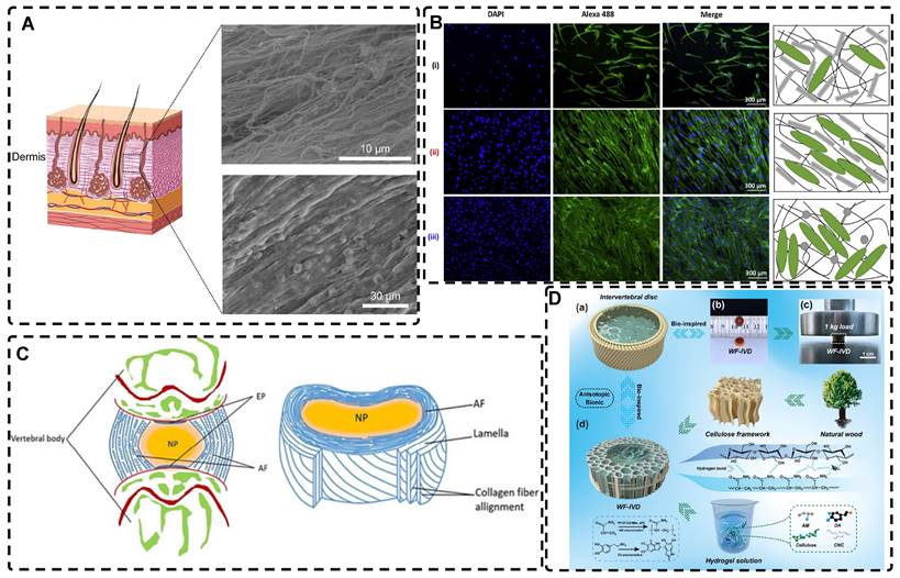 Theranostics Image