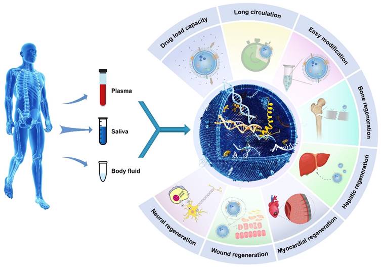 Theranostics Image