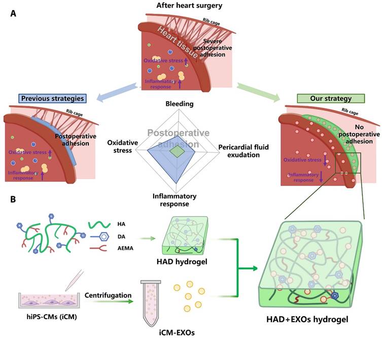 Theranostics Image