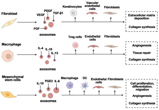 Theranostics Image