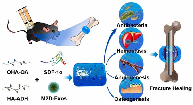 Theranostics Image