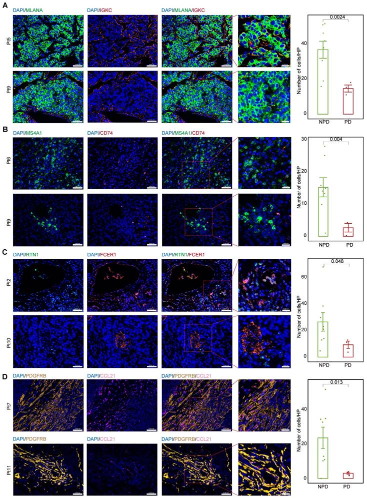 Theranostics Image