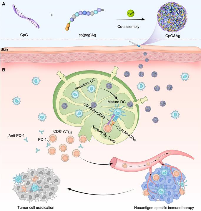 Theranostics Image