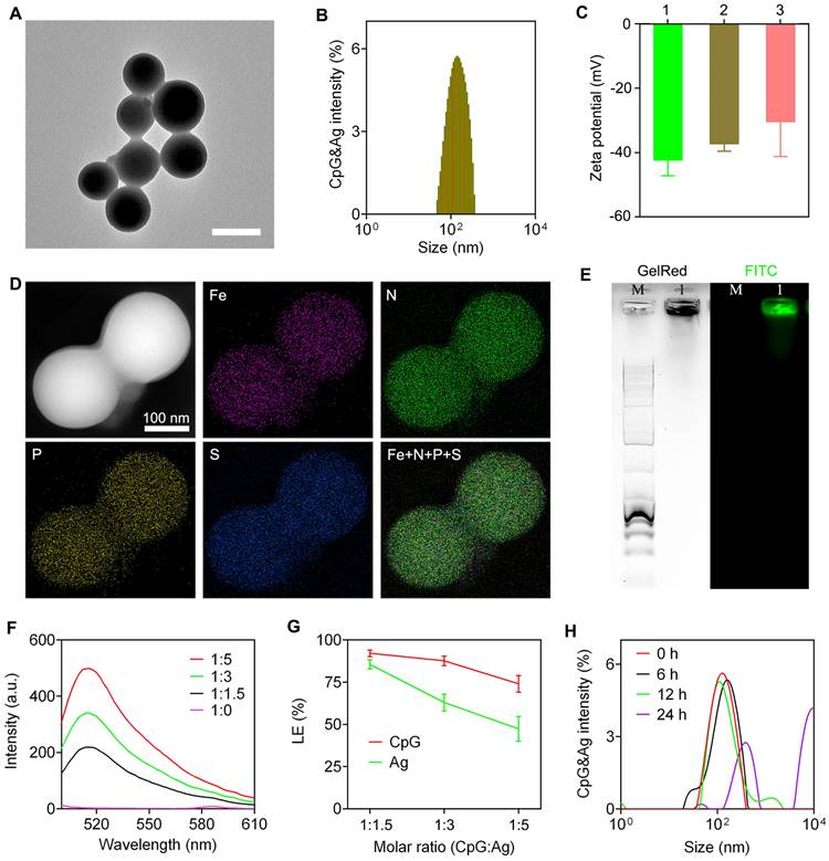 Theranostics Image