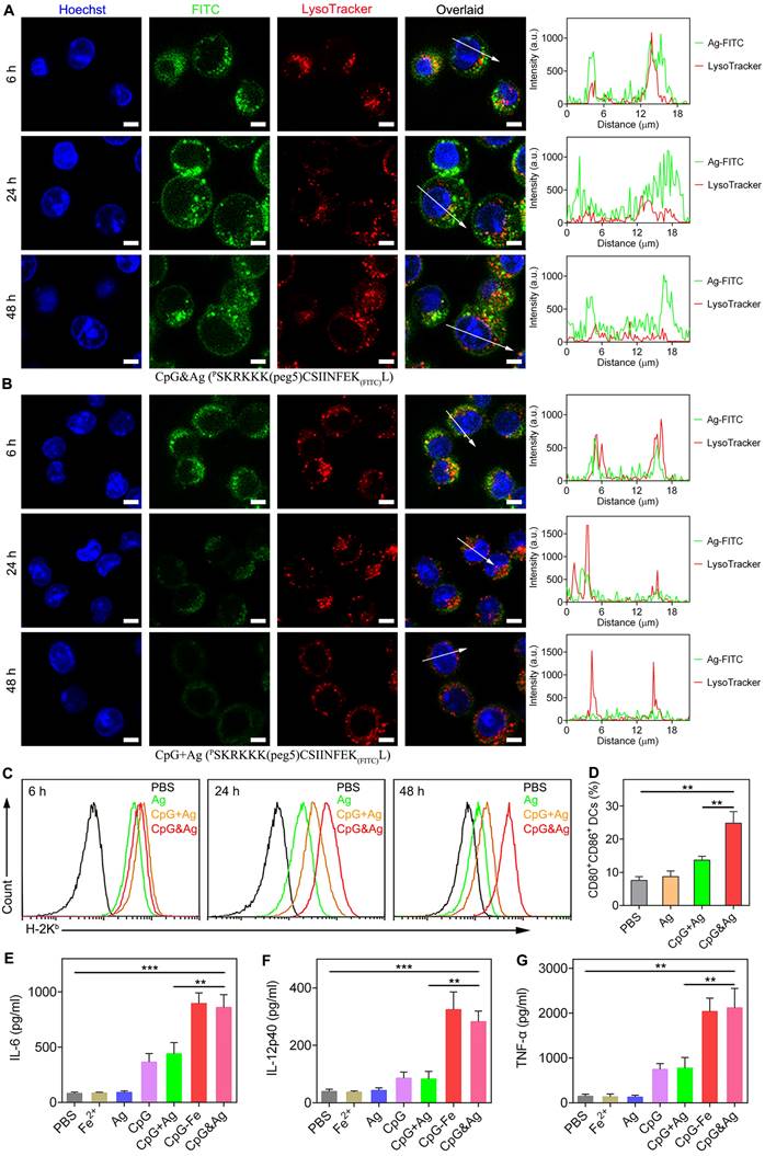 Theranostics Image