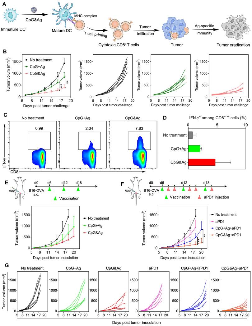 Theranostics Image