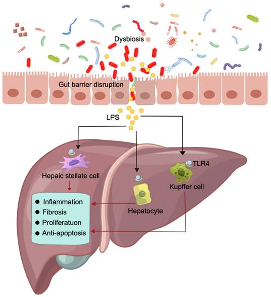 Theranostics Image