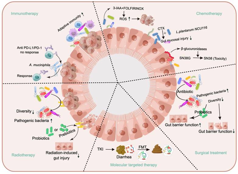 Theranostics Image