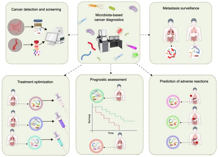 Theranostics Image