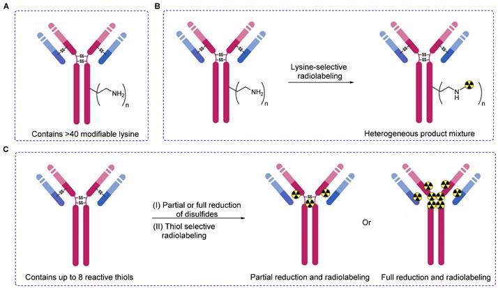 Theranostics Image