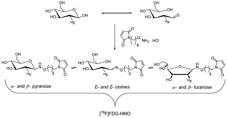 Theranostics Image