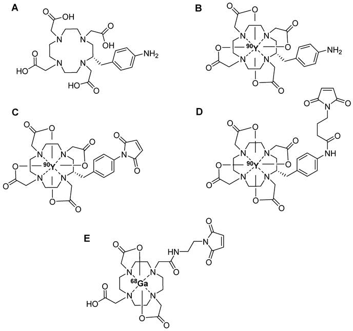 Theranostics Image