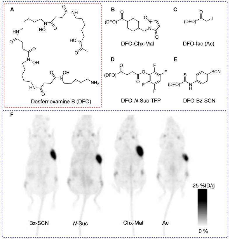 Theranostics Image