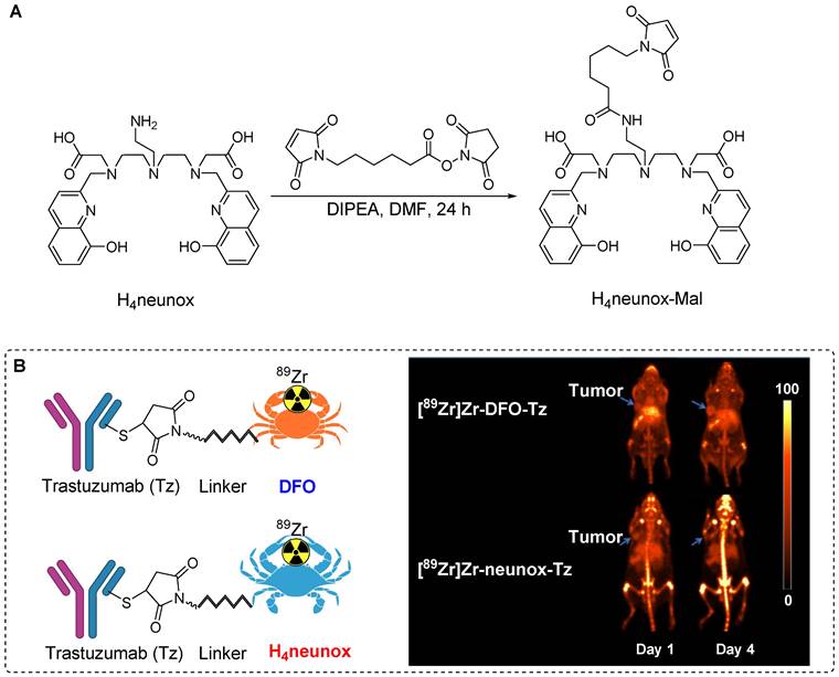 Theranostics Image