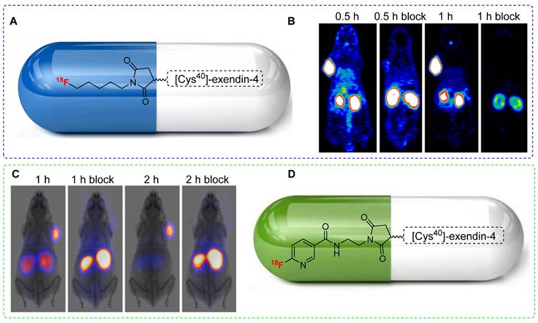 Theranostics Image