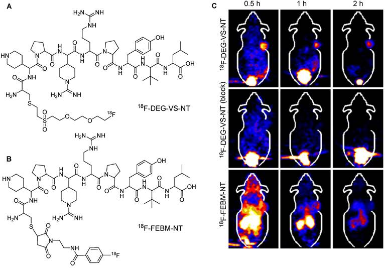 Theranostics Image