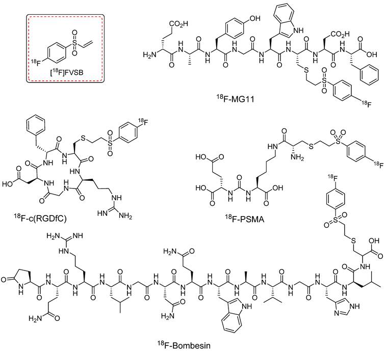 Theranostics Image