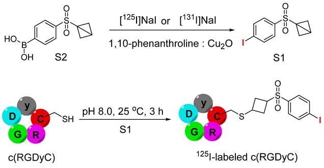 Theranostics Image