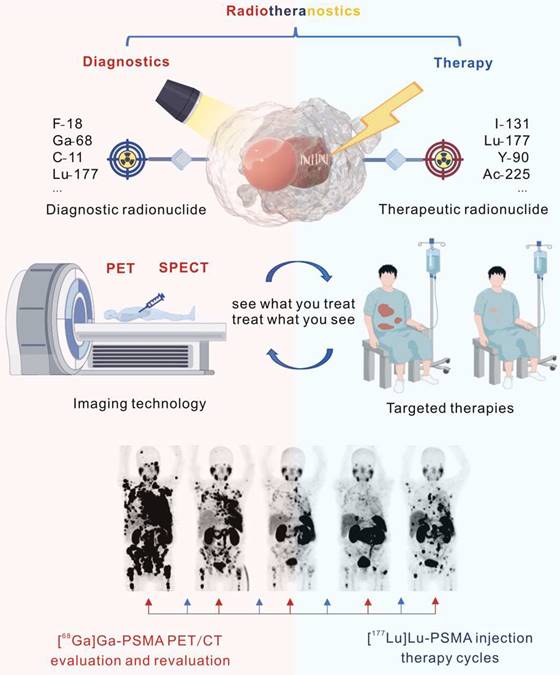 Theranostics Image