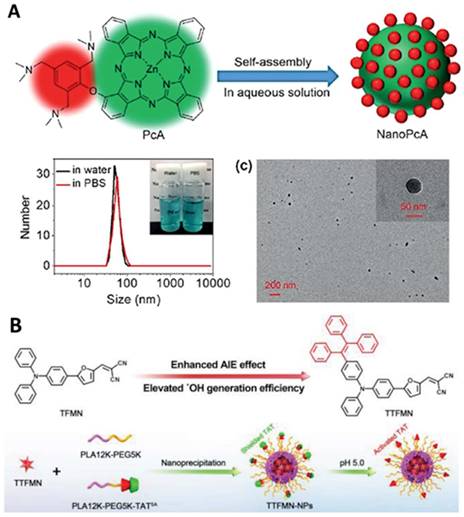 Theranostics Image