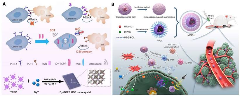 Theranostics Image