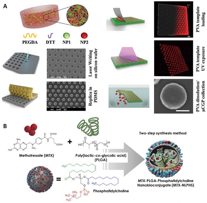 Theranostics Image