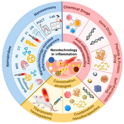 Theranostics Image