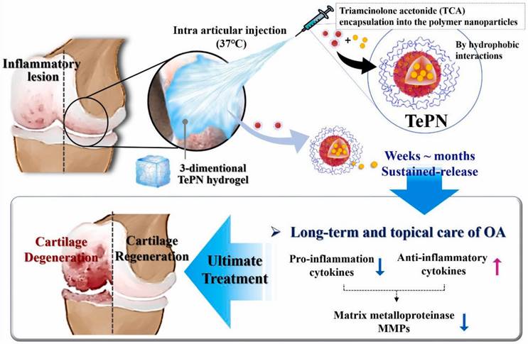 Theranostics Image