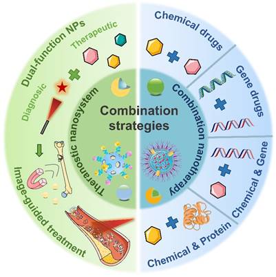 Theranostics Image