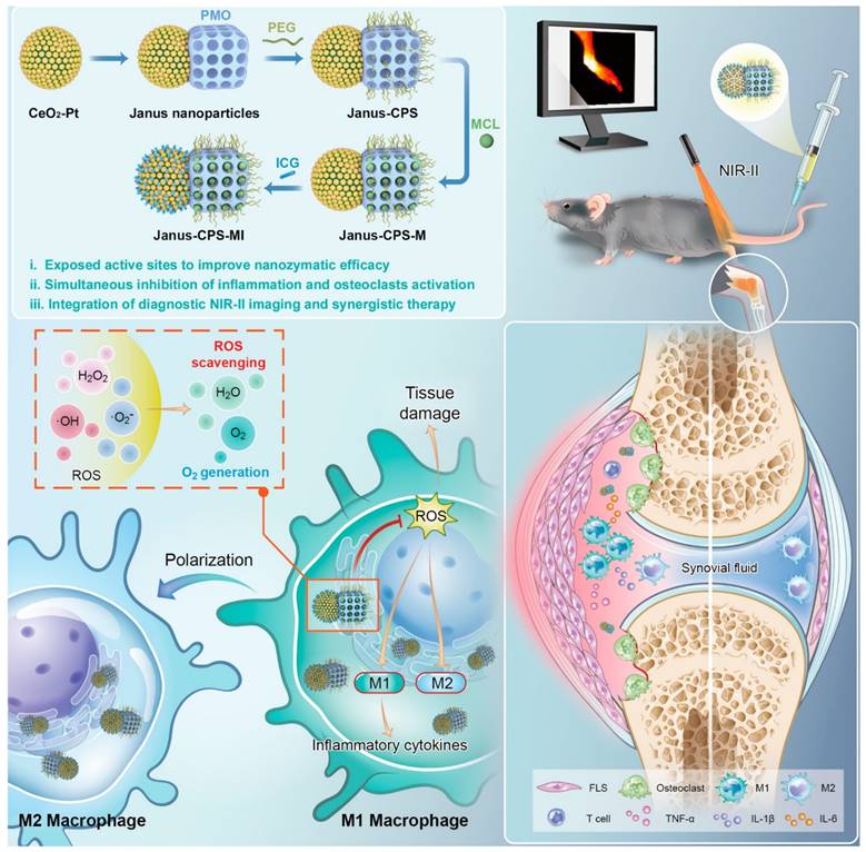 Theranostics Image