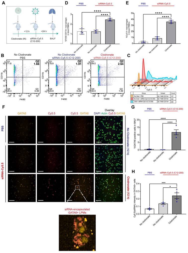 Theranostics Image