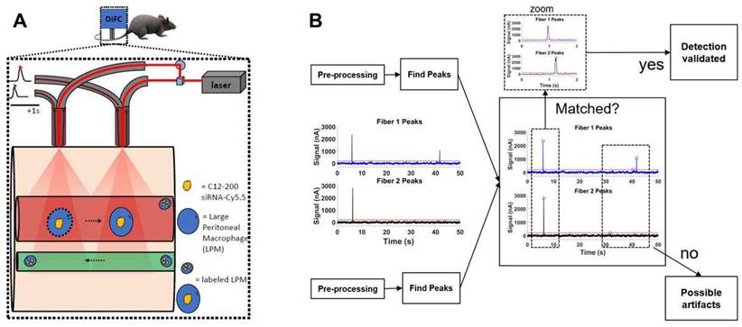 Theranostics Image