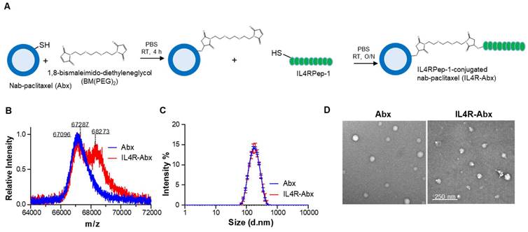 Theranostics Image