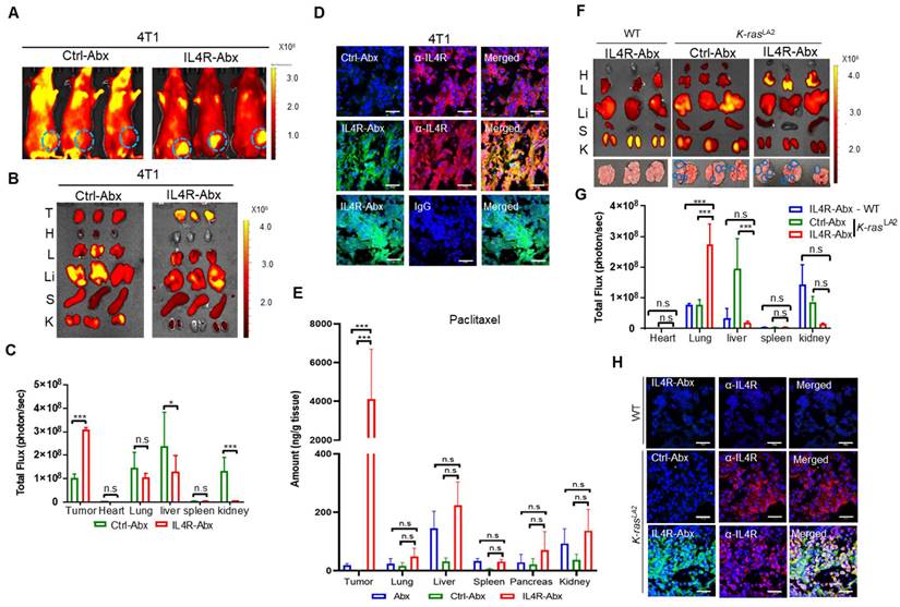 Theranostics Image